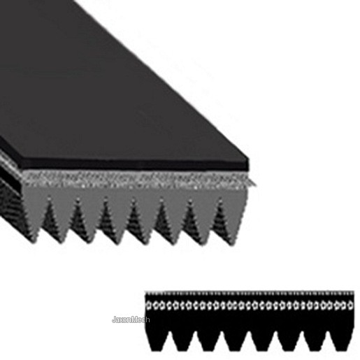 AMMEGA 1595L8 multi-rib V belt